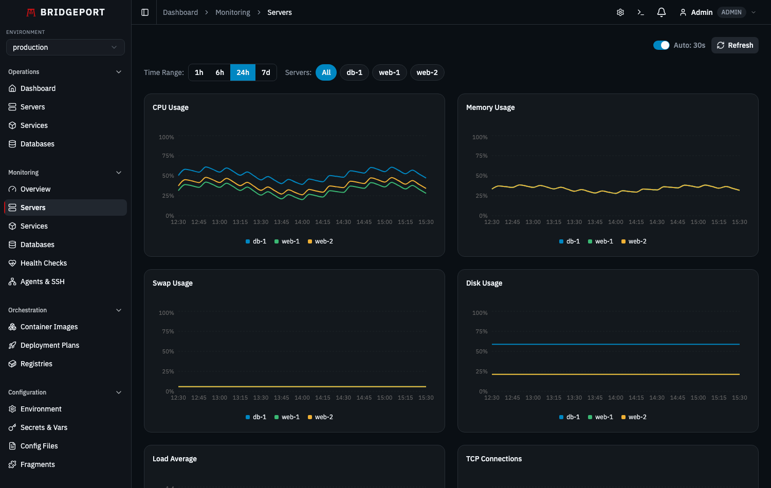 Server monitoring with interactive CPU, memory, swap, and disk time-series charts across multiple servers